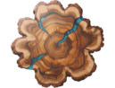 gemini generated image 45ntvt45ntvt45nt removebg preview